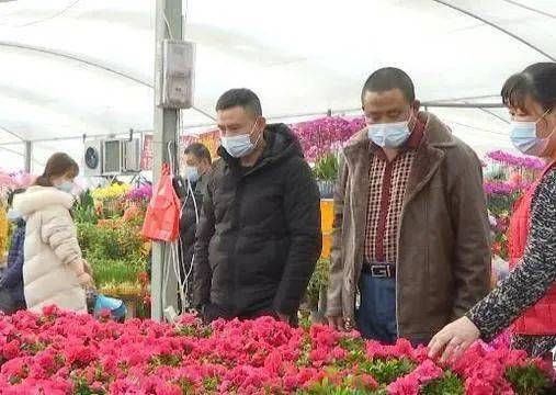 鮮花消費熱潮涌動 美團外賣銷售激增與產業升級并行